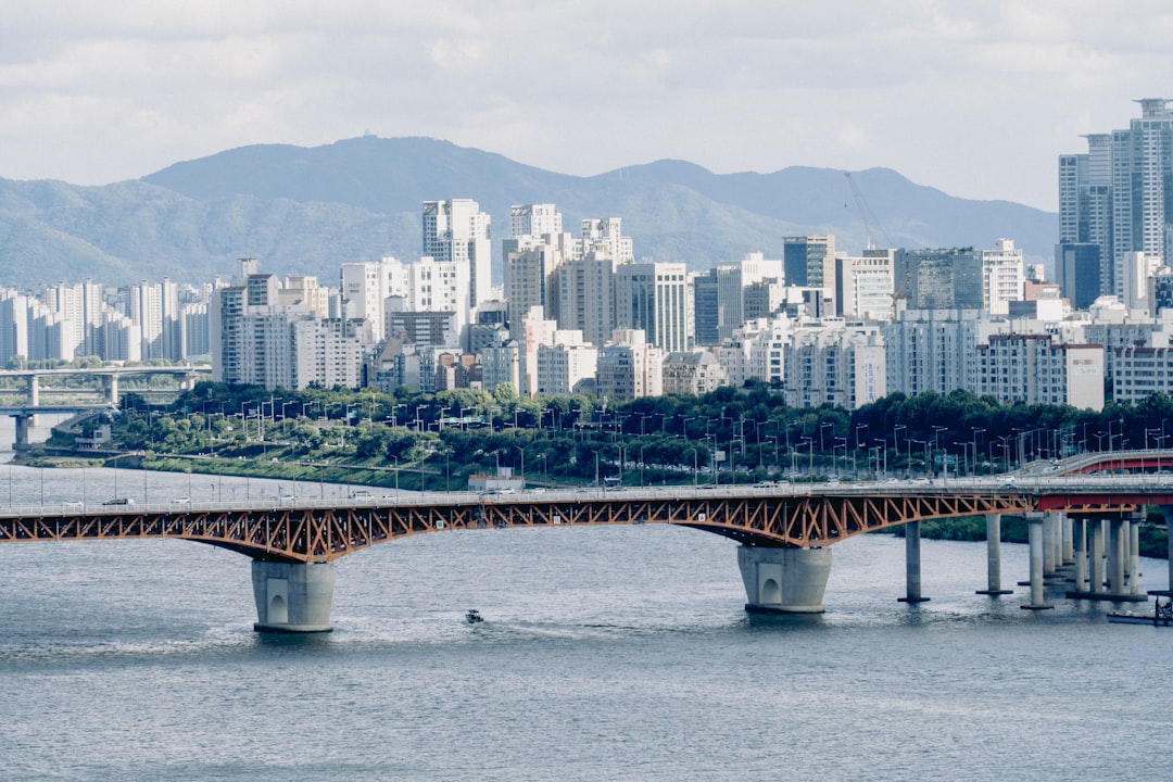 a bridge over a body of water with a city in the background